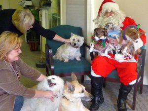 Santa and the whole Doggie Howliday crew.